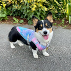 Dog Cooling Vest With UV Protection, Breathable Lightweight For All Breeds S-XXL