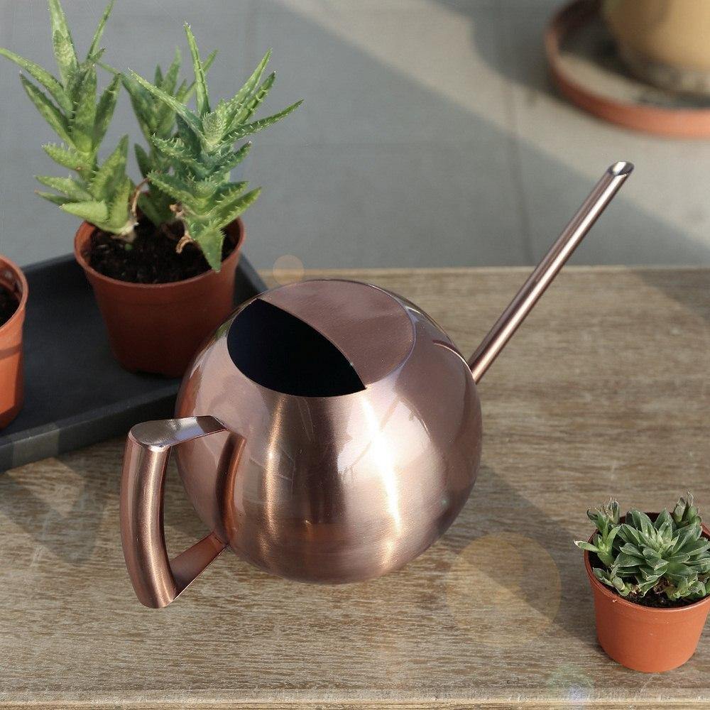 Sylvara Stainless Watering Can With Spherical Spout