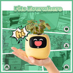 Ivy Desk Plant Pet