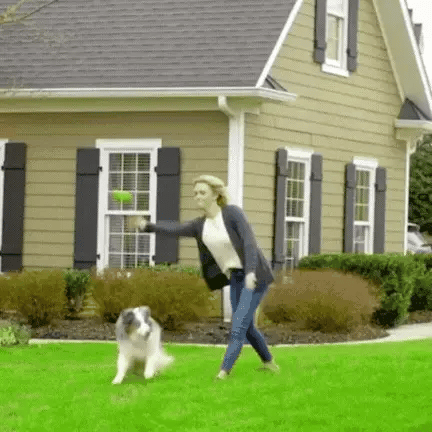 ZenGuard Pro vandtæt trådløst halsbånd til udendørs hundegårdsspil