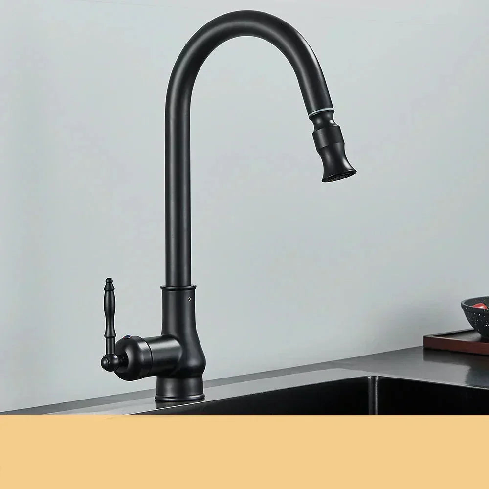 AstraNova Antique Brass Swivel Spout Faucet In Black Accent