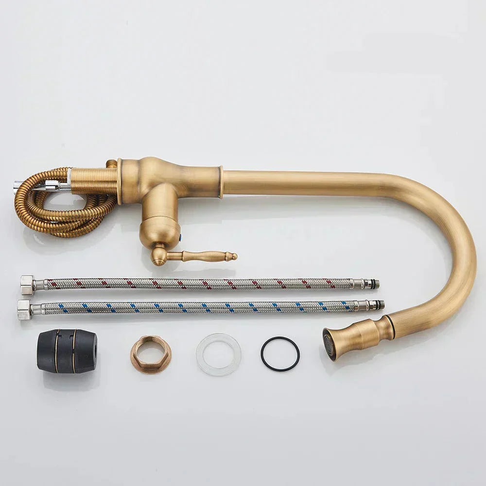 Norelle Antique Brass Swivel Faucet For Kitchen With Black Finish