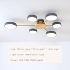 Luminax Nordic Modern LED Ceiling Chandelier Fixture For Living Rooms And Bedrooms