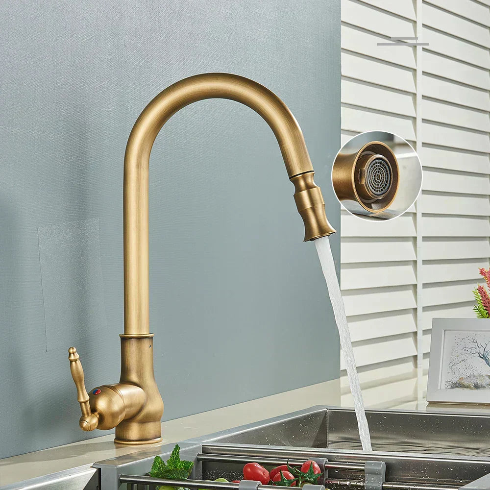 AstraNova Antique Brass Swivel Spout Faucet In Black Accent