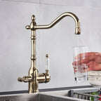 Grifo de Cocina Hamilton Classic con Filtración y Giro de 360 Grados