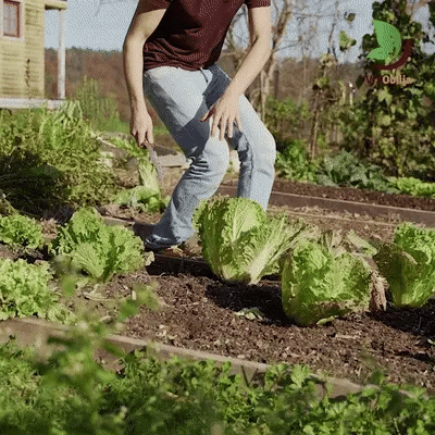 TerraWeave Gardening Knife With Rust-Resistant Blade And Sheath
