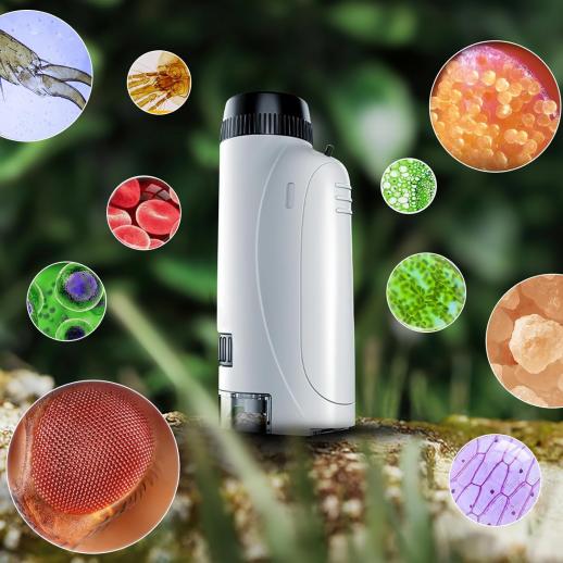 Ensemble Mini Microscope pour Enfants pour Explorer les Mondes Minuscules
