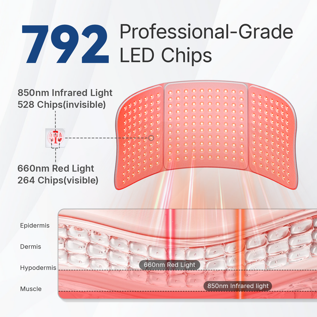 משטח טיפול באור אדום גדול – 792 נורות LED, 36W להקלה על הגב והמותניים בכל הגוף