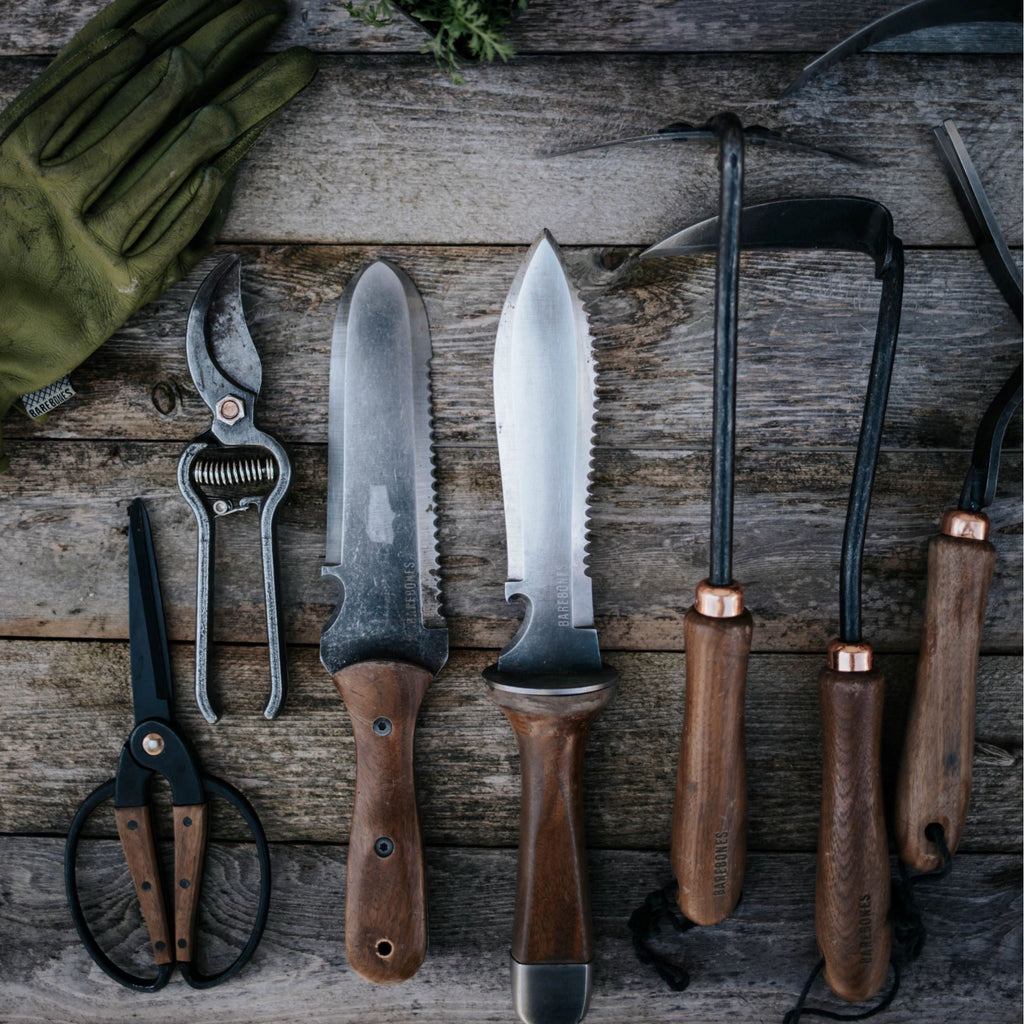 TrailForge Survival Knife With Pro Grip And Ergonomic Handle And Rugged Blade