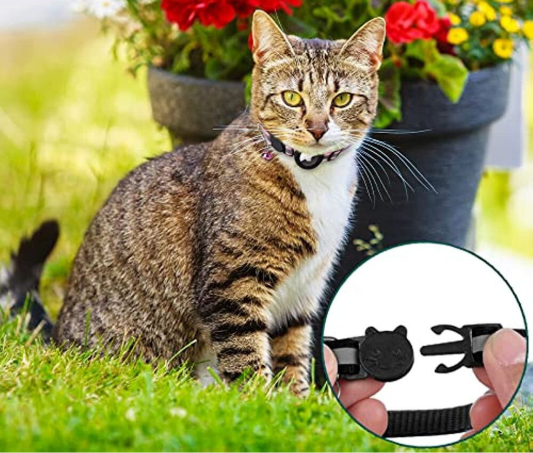 反光快速释放猫用GPS项圈，提升可见性