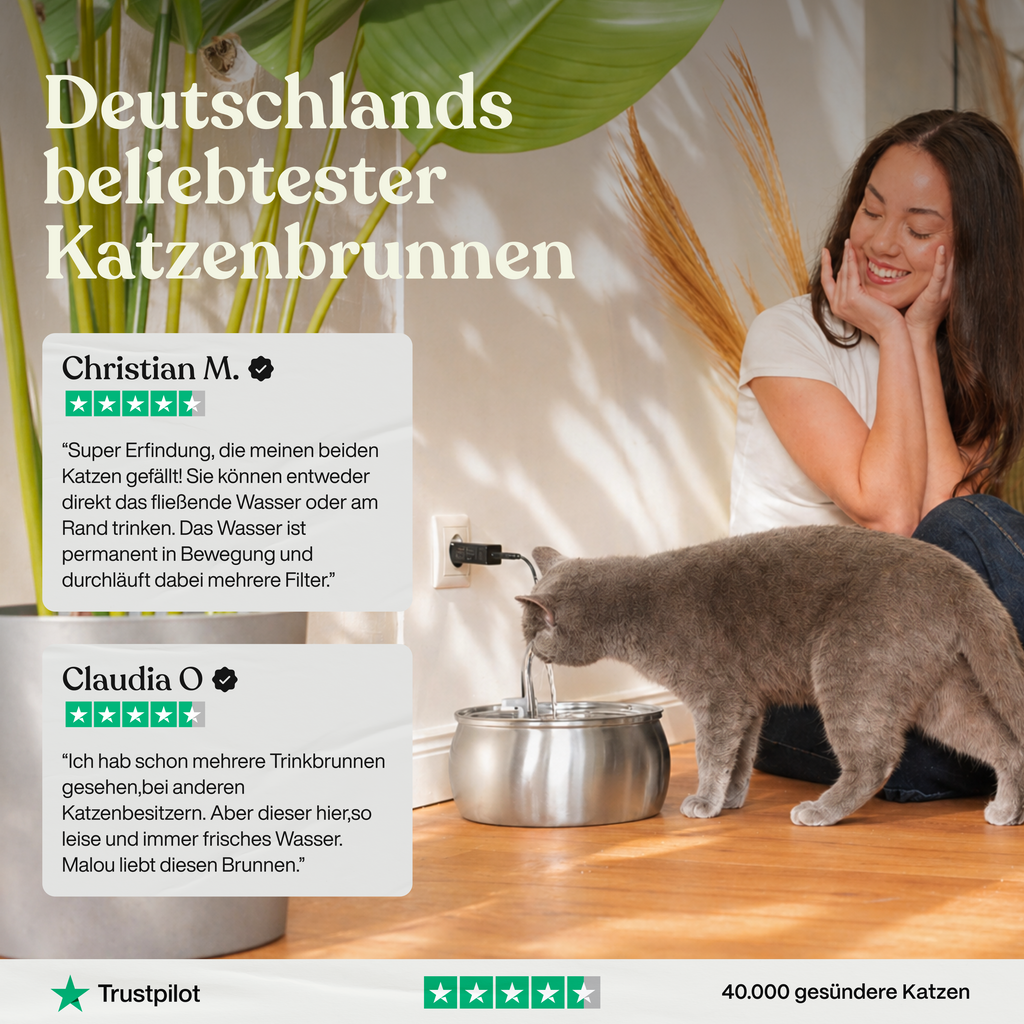 Stainless Steel Cat Water Fountain with Silent Pump & Multi-Stage Filter