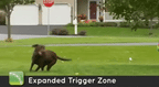 ZenGuard Pro vandtæt trådløst halsbånd til udendørs hundegårdsspil