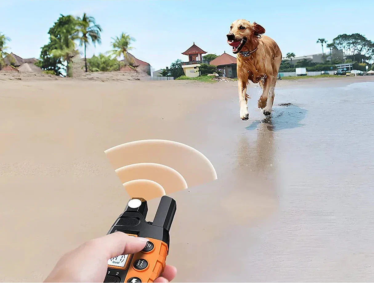 NovaPace Dog Training Collar With 1000m Remote Range Waterproof