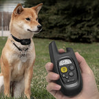 AstraPaw Pro Collar With 500m Waterproof, Rechargeable