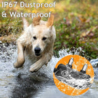PulsePaw Draadloze Trainingshalsband Voor Honden Levert Betrouwbaar Signaal