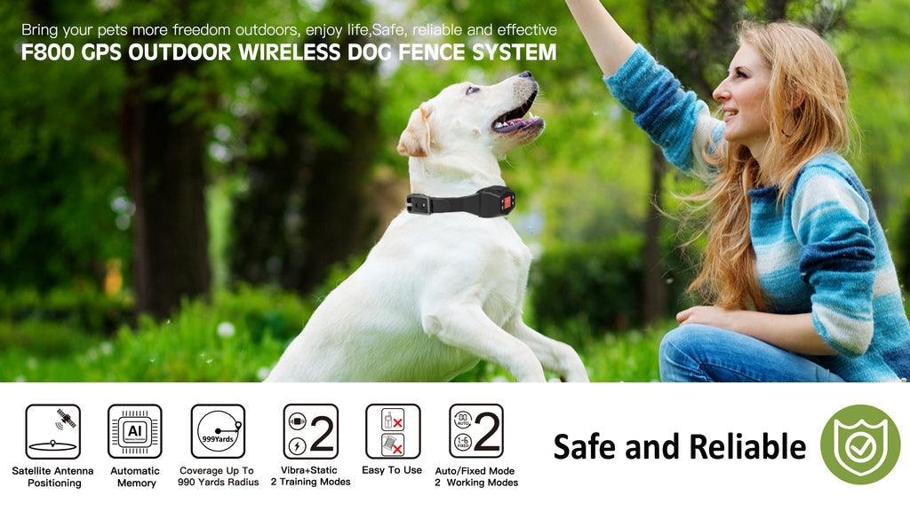 מערכת גדר אלחוטית GPS לכלבים CanineGuard Pro לשימוש חיצוני