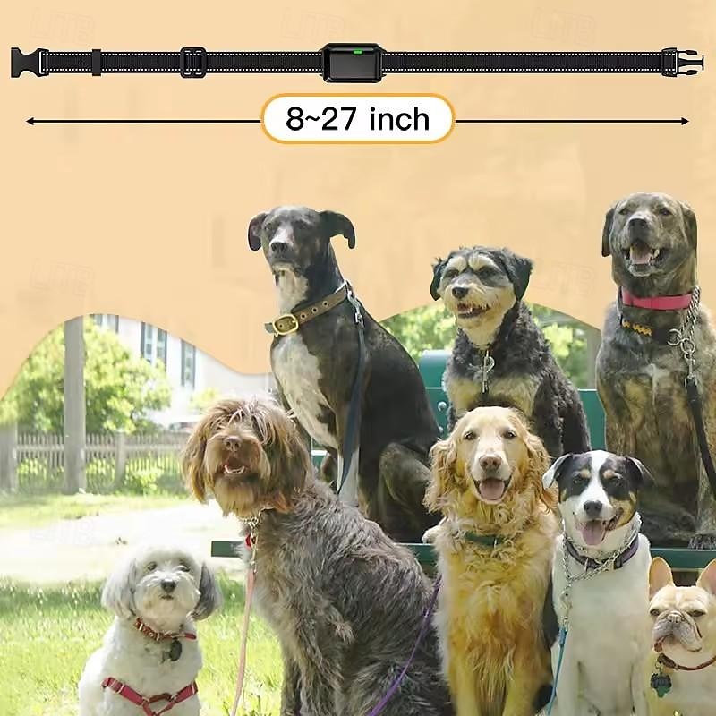 アクティブな犬には、防水リモートトレーニング機能付きスマートカラーが最適です
