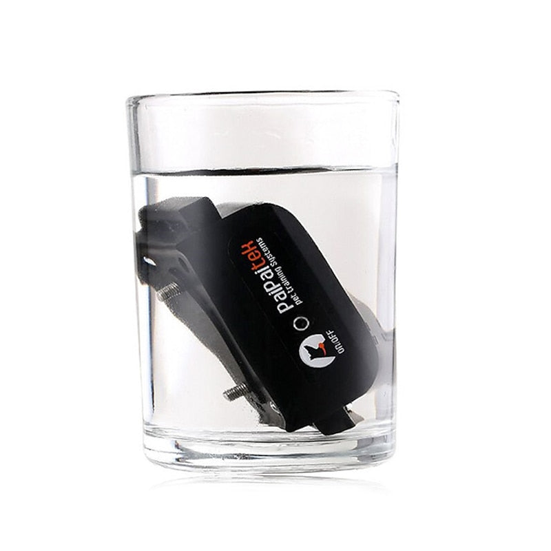 AquaStride Pro 1000m Training Collar Waterproof Dog
