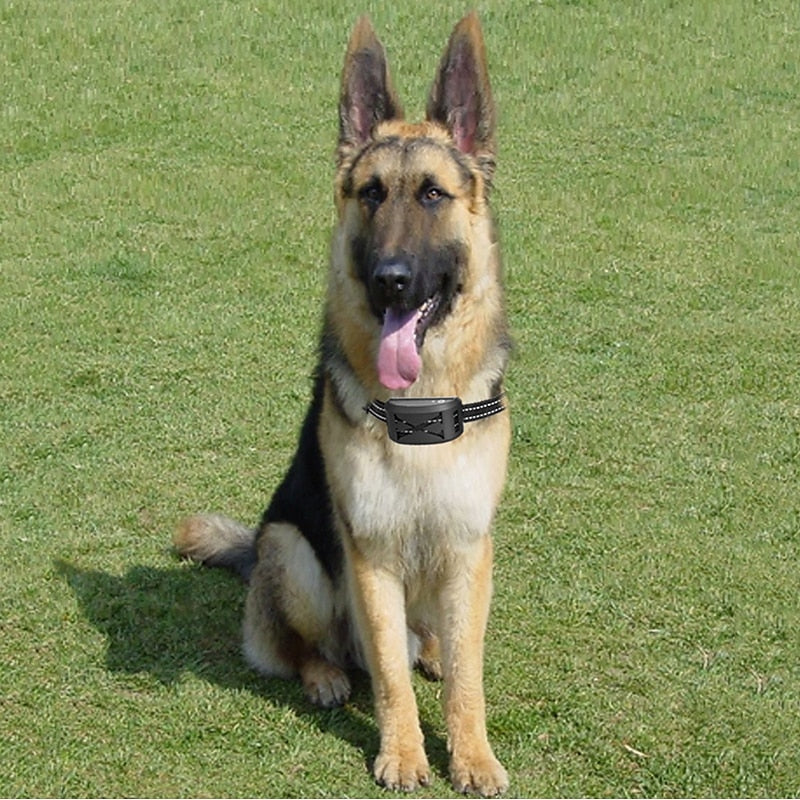 FidoFence Pro Advanced Wireless Dog Boundary System With Collar, 9–240 Meters