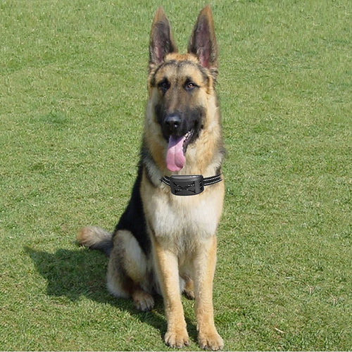 FidoFence Pro Avansert Trådløst Hundegjerde med Halsbånd, 9–240 Meter