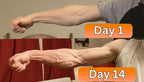 Gyroscopic Power Ball for Grip and Forearm Strength