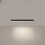 Lumina Modern Ceiling Light For Balconies And Restaurants
