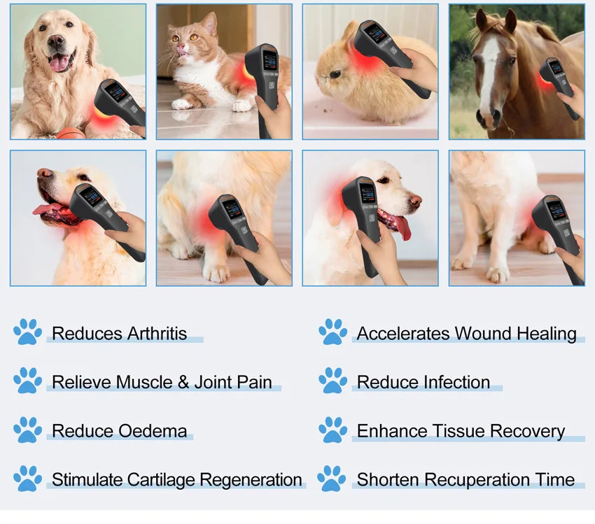 Compact Laser Therapy Tool For Pain Relief And Muscle Recovery