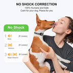 CalmPaws Small Dog Bark Collar Rechargeable And Gentle