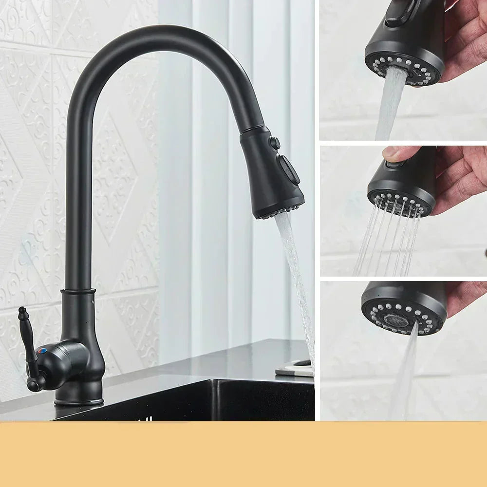 AstraNova Antique Brass Swivel Spout Faucet In Black Accent