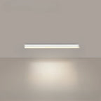 Lumina Modern Ceiling Light For Balconies And Restaurants