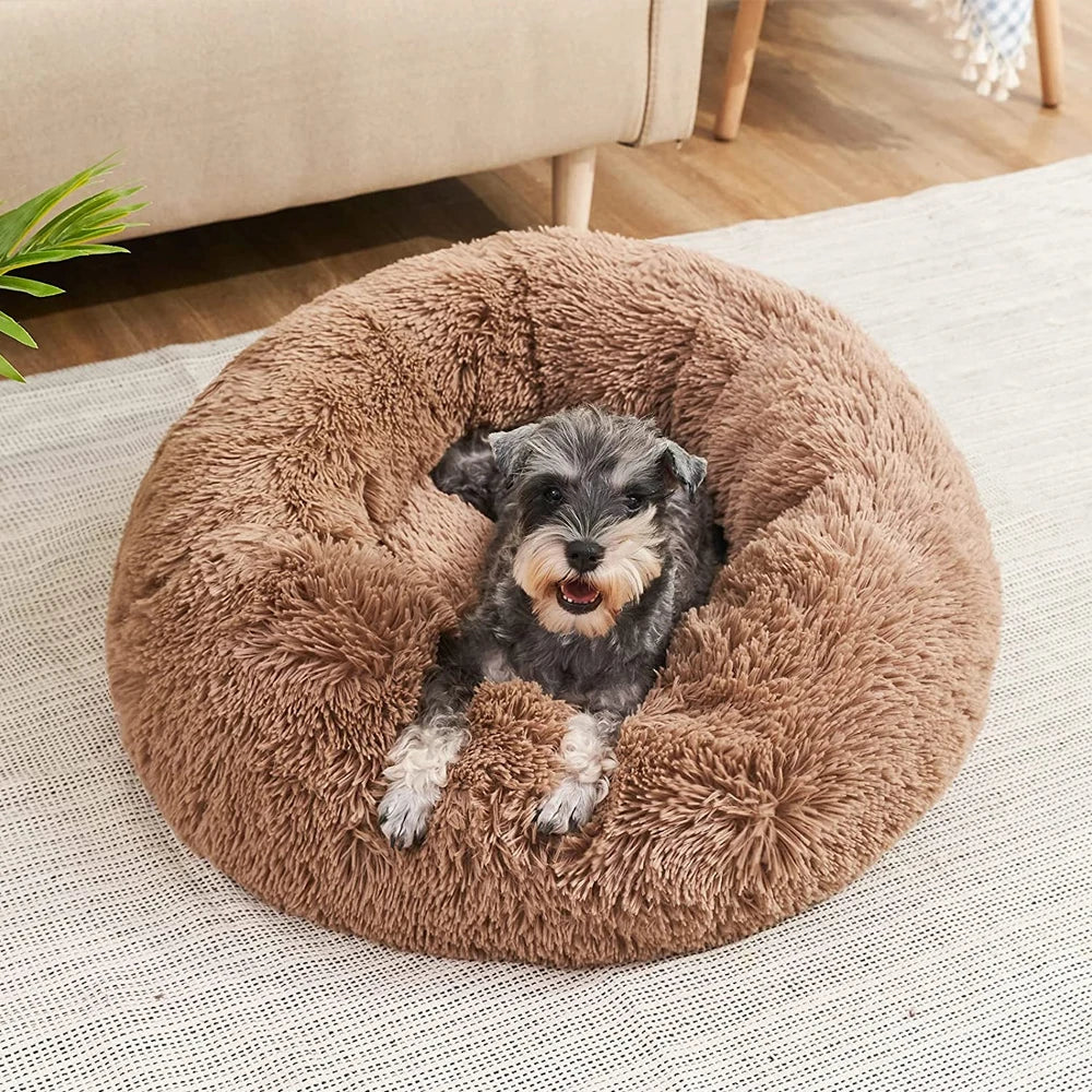 מיטת כדור רכה CozySphere לחתולים וכלבים, נוחות מפנקת