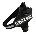 Harnais PawGuard Pro pour chiens avec système de réglage de la laisse