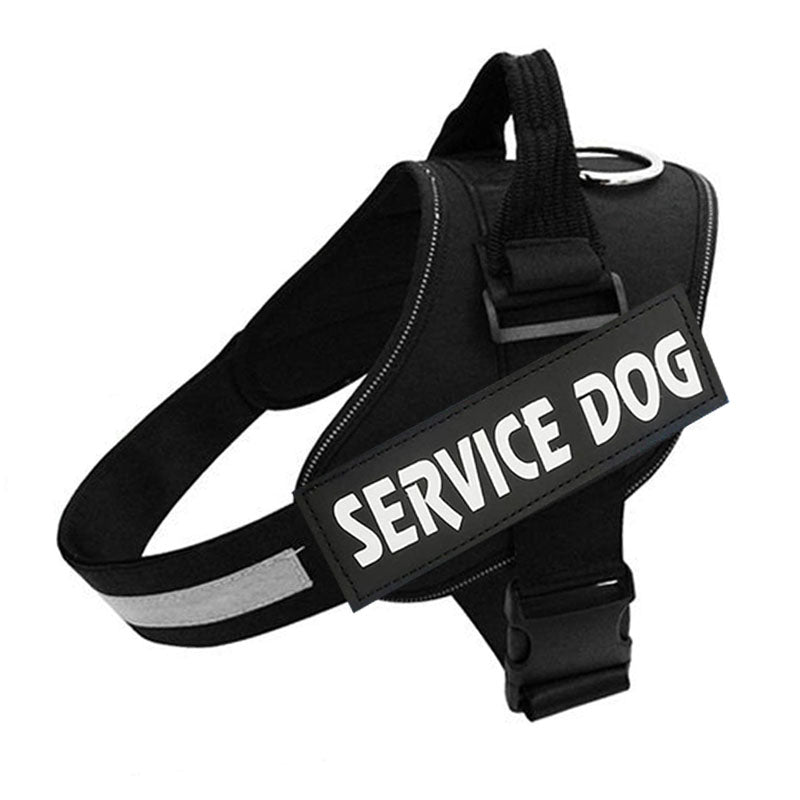 Harnais PawGuard Pro pour chiens avec système de réglage de la laisse