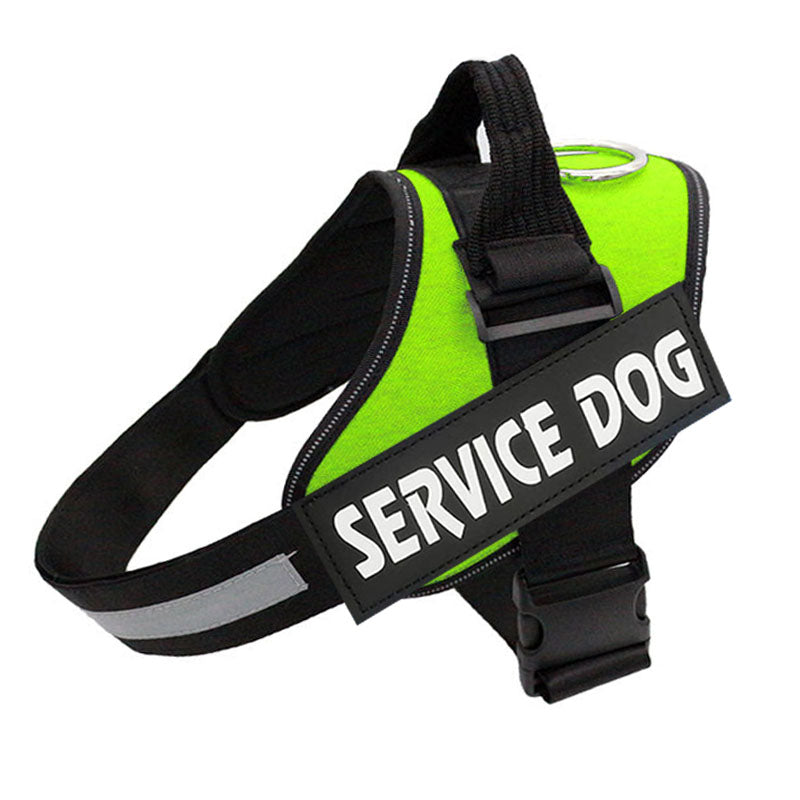 Harnais PawGuard Pro pour chiens avec système de réglage de la laisse