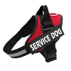 Harnais PawGuard Pro pour chiens avec système de réglage de la laisse