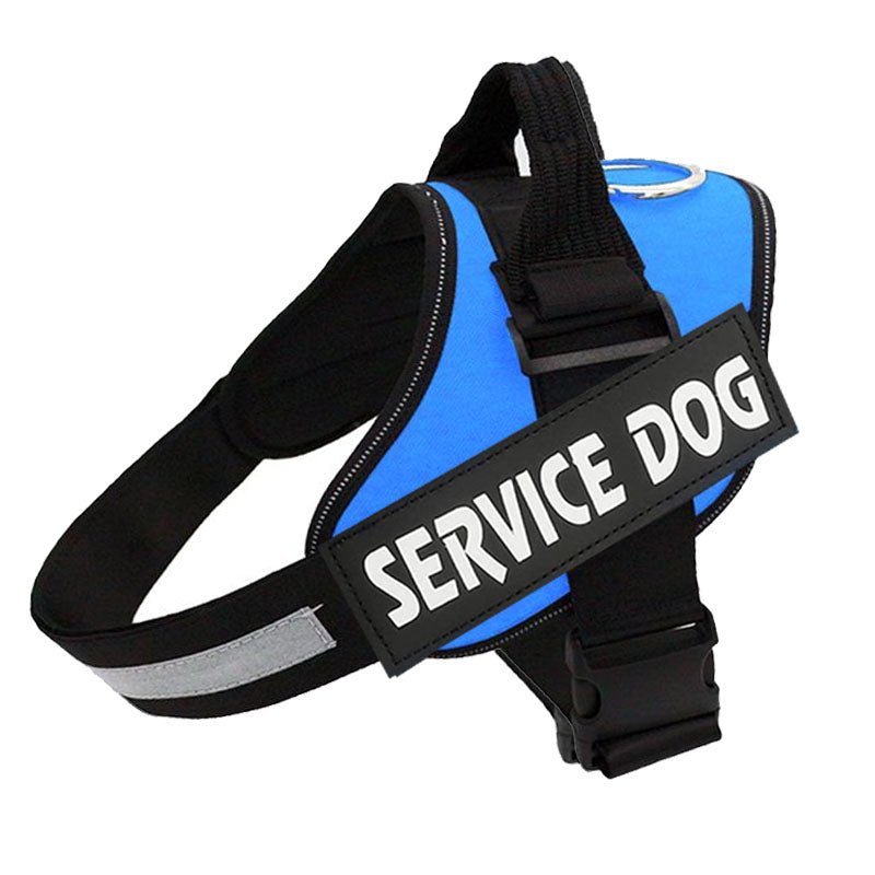 Harnais PawGuard Pro pour chiens avec système de réglage de la laisse