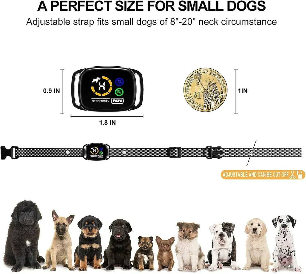 CalmPaws Small Dog Bark Collar Rechargeable And Gentle