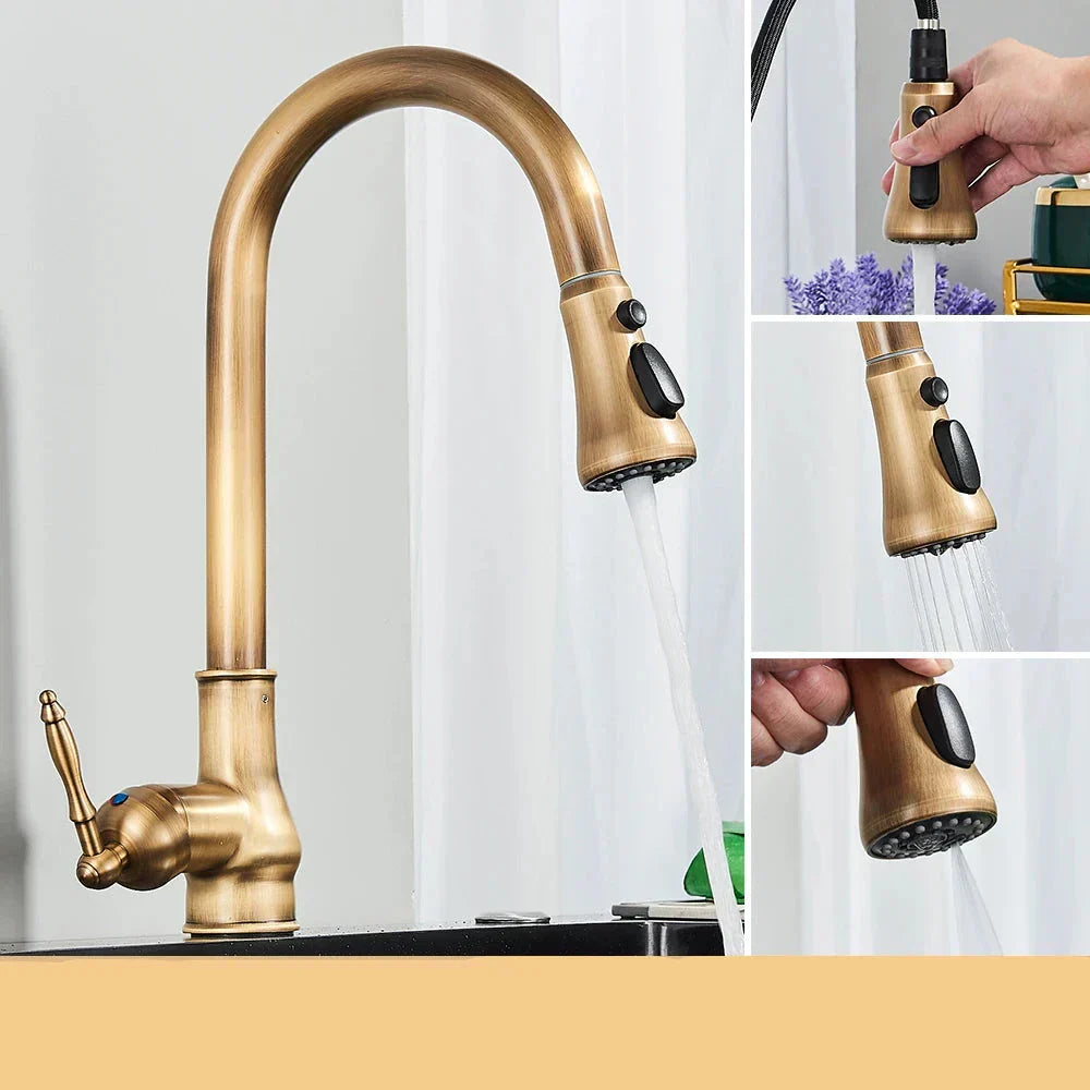 AstraNova Antique Brass Swivel Spout Faucet In Black Accent