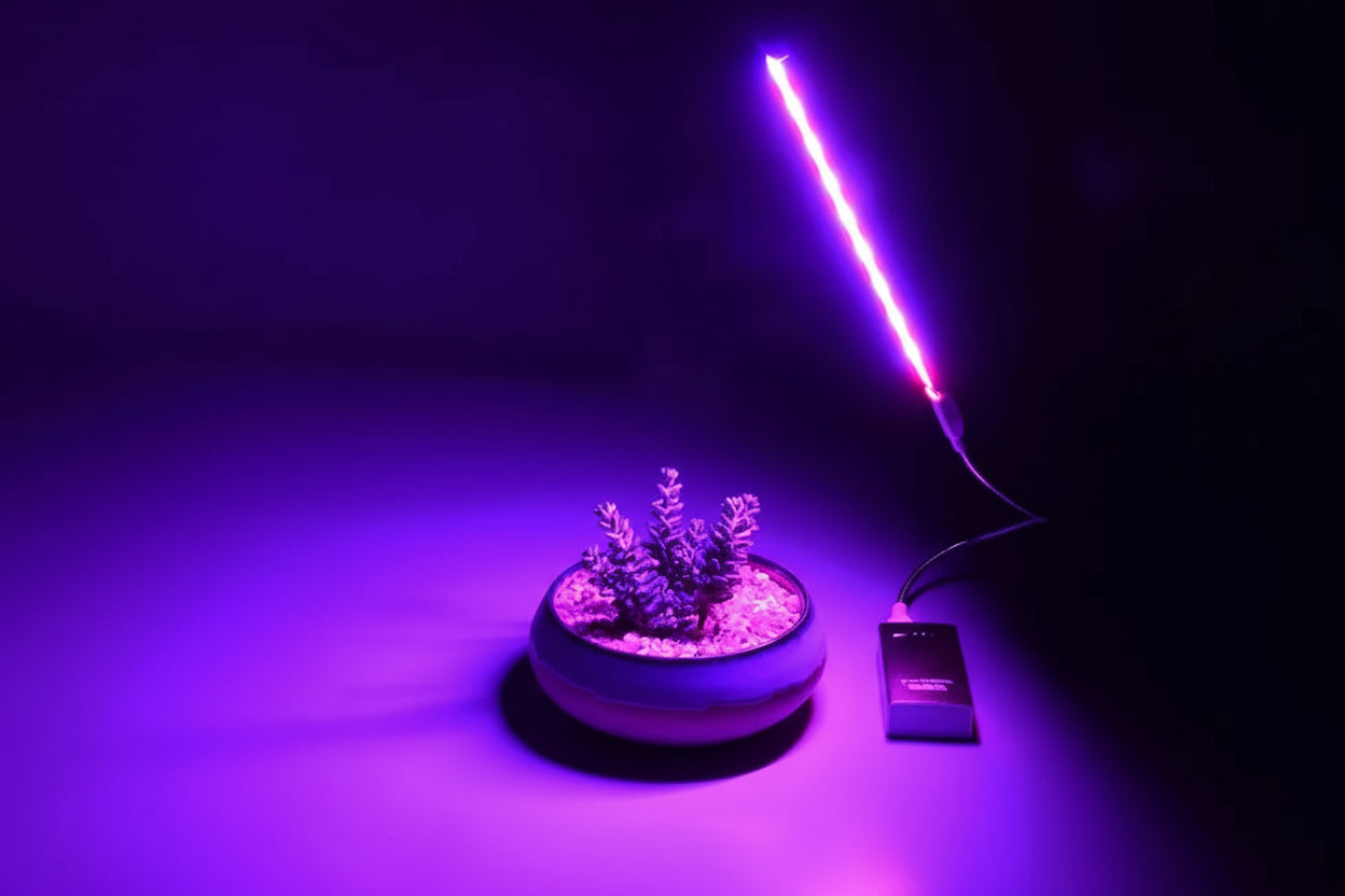 Lampe de croissance LED USB alimentée pour plantes d'intérieur et hydroponie