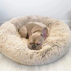 CozySphere blødt rundt seng til katte og hunde, hyggelig komfort