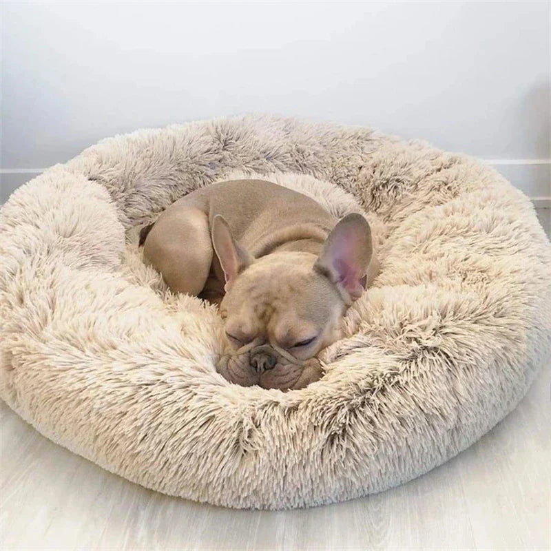 מיטת כדור רכה CozySphere לחתולים וכלבים, נוחות מפנקת