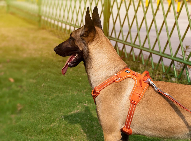 AstraPaw Nylon-Hundegeschirr mit reflektierenden Gurten, Anti-Zieh, für alle Größen