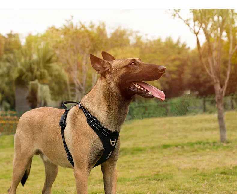 True Love Geschirr mit reflektierendem Anti-Zug für aktive Hunde