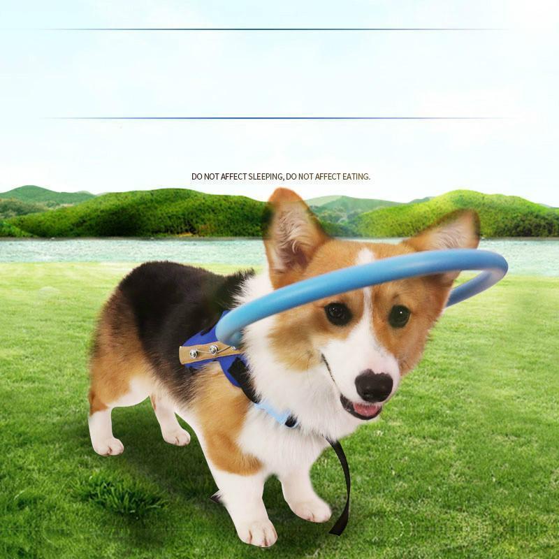 WandaPaws Blind Dog Harness With Guide And Bumper Collar