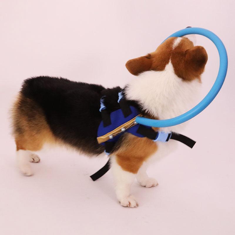 WandaPaws Blind Dog Harness With Guide And Bumper Collar