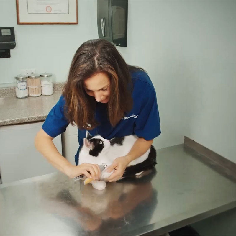 PawGuard Pro körömvágók okos érzékelő technológiával