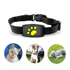 Collier GPS WhiskerGuard Pro avec suivi en temps réel
