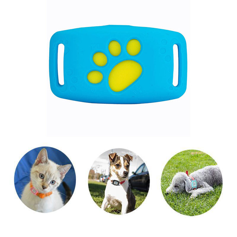 Collier GPS WhiskerGuard Pro avec suivi en temps réel