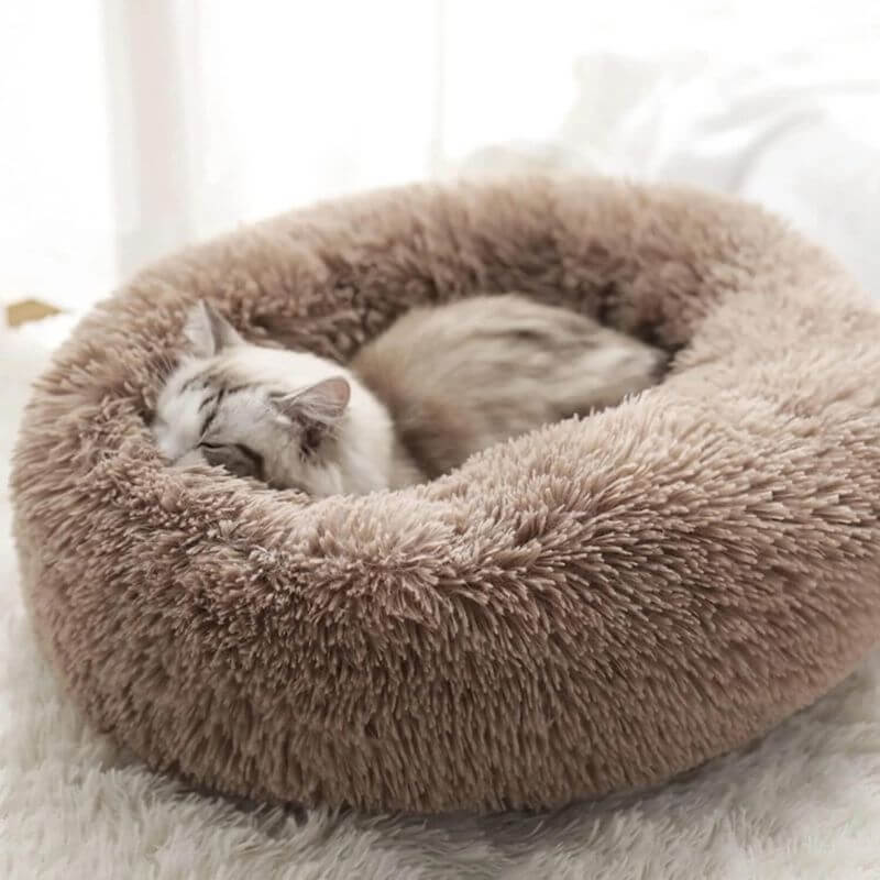 CalmPaws Kattenbed voor Angstvermindering en Comfort de Hele Dag