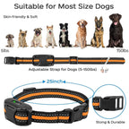 HydraPaw Pro Waterproof Outdoor Remote Training Collar For Dogs